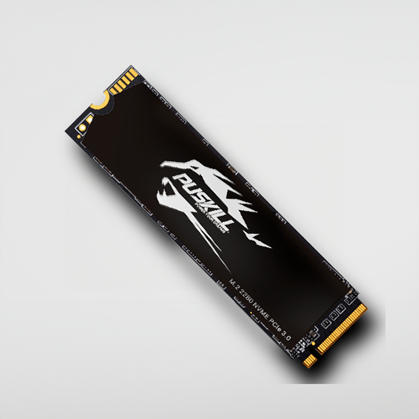 Ssd M Puskill Puskill Produtos